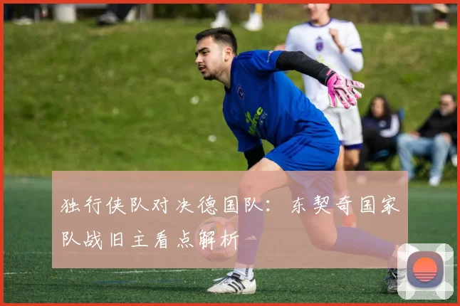 独行侠队对决德国队:东契奇国家队战旧主看点解析